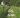 Canada opens rural and remote regions: PR through RCIP and FCIP – easier than you thought!