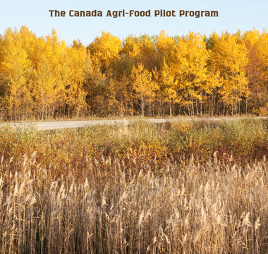 The Canada Agri-Food Pilot Program