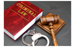 Bill No. 13673: from an ordinary immigrant to a "criminal" retroactively.