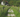 Canada opens rural and remote regions: PR through RCIP and FCIP – easier than you thought!