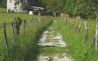 Canada opens rural and remote regions: PR through RCIP and FCIP – easier than you thought!