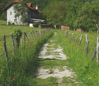 Canada opens rural and remote regions: PR through RCIP and FCIP – easier than you thought!