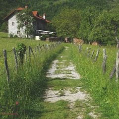Canada opens rural and remote regions: PR through RCIP and FCIP – easier than you thought!