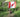 Canada removes additional points for LMIA in Express Entry: a fight Against Fraud or a Pointless Step?