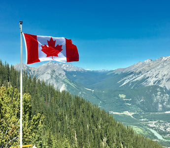 Obtain Canadian Citizenship in 365 Days as a PR – Truth or Impossible?